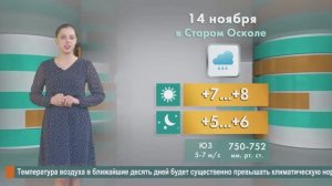 Погода в Старом Осколе на 14 ноября