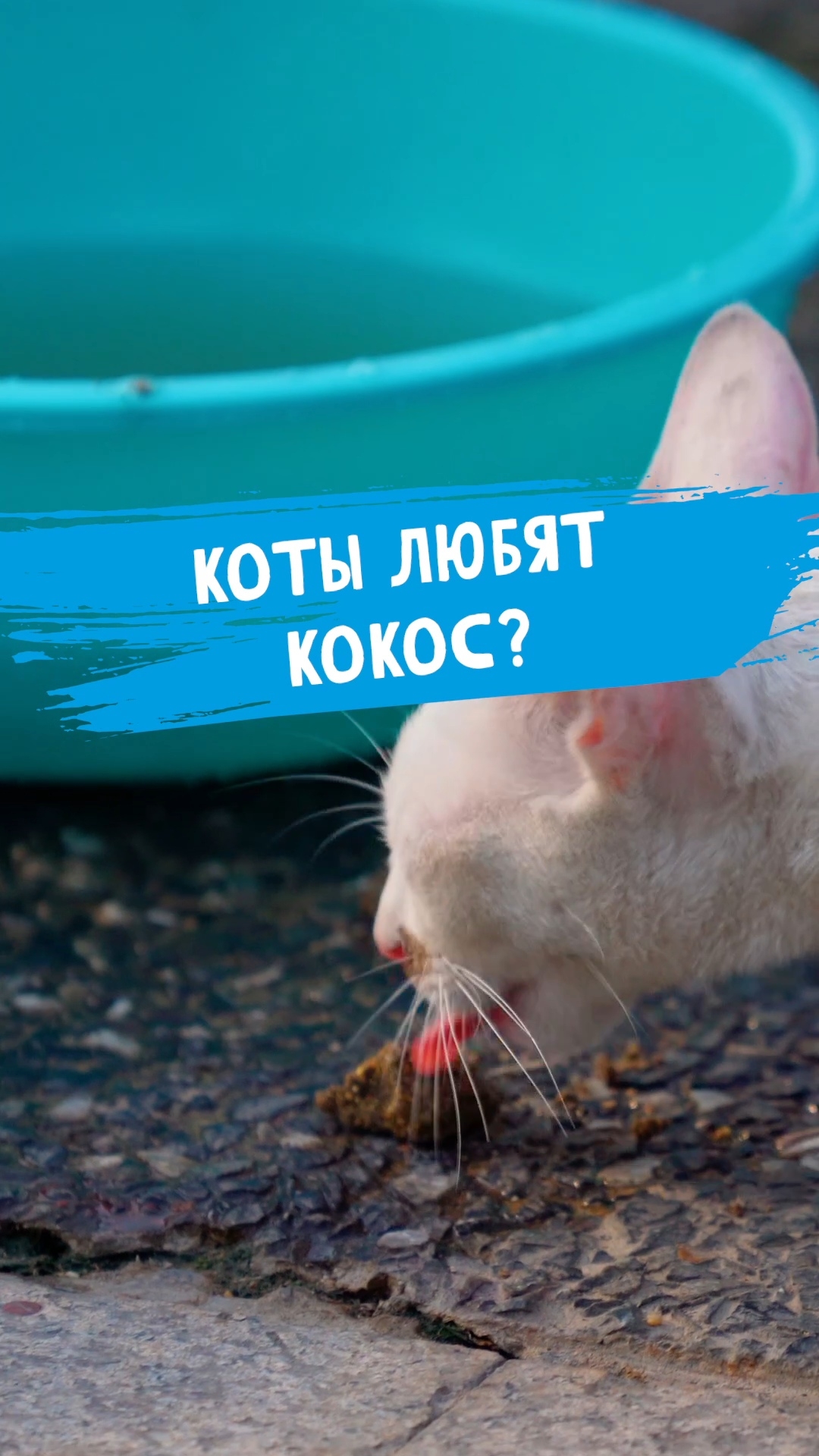 Почему? #dunaevmedia #рыбалка смотреть онлайн