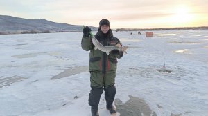 Рыбалка по первому льду махалками хапугами на щуку, сига и судака.