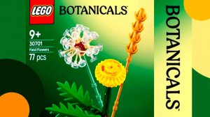 LEGO Botanicals 30701 Полевые цветы Обзор набора лего