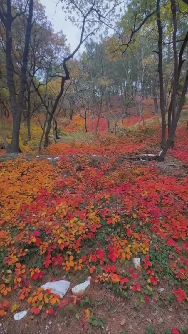 Осенний Геленджик смотреть онлайн