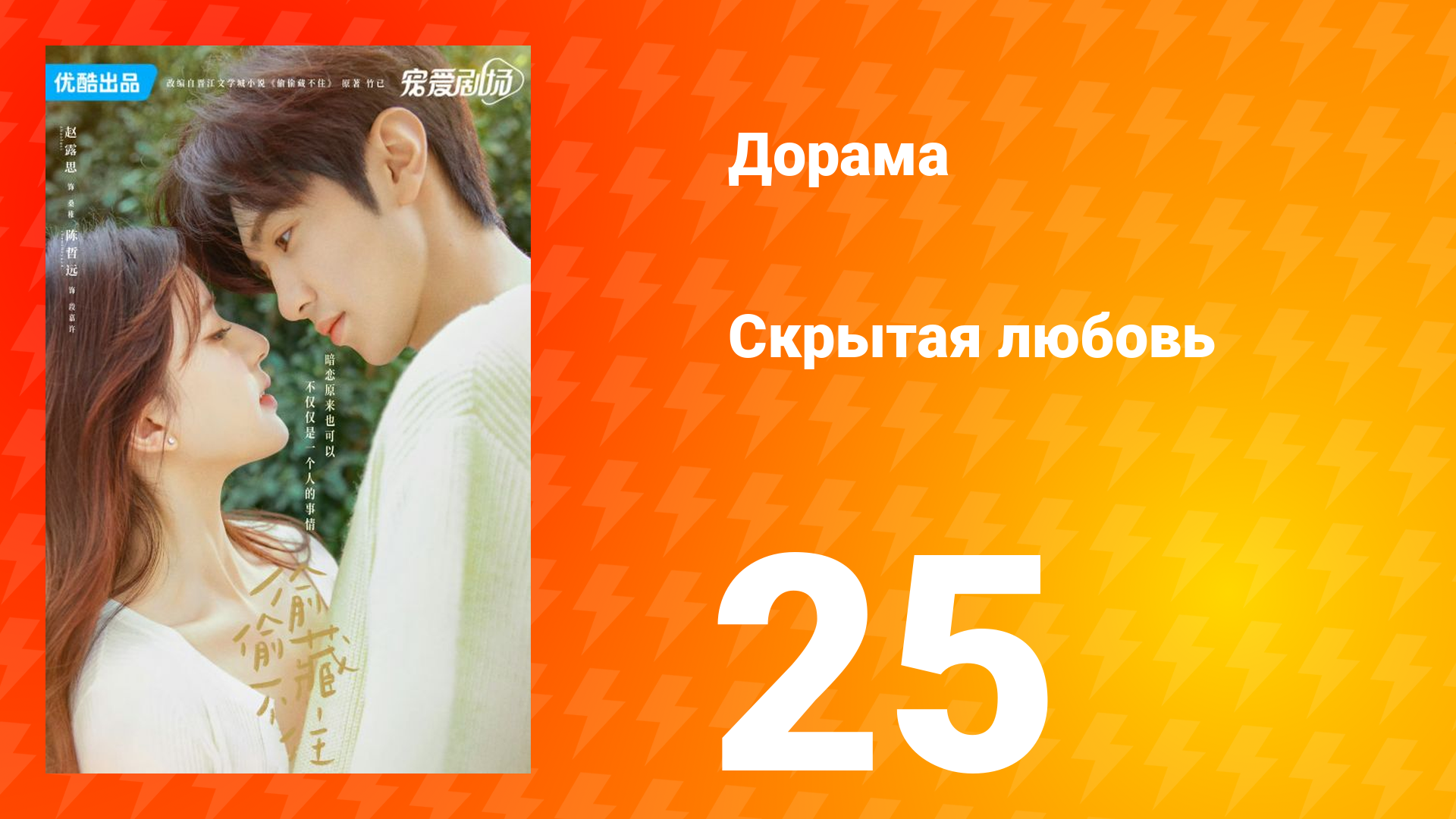 Скрытая любовь 1 сезон 25 серия
