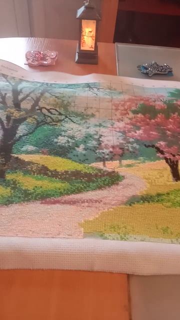 Video_20251015_094932.mp4