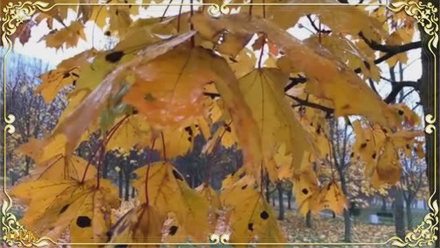 КОЛДУЬЯ   ОСЕНЬ