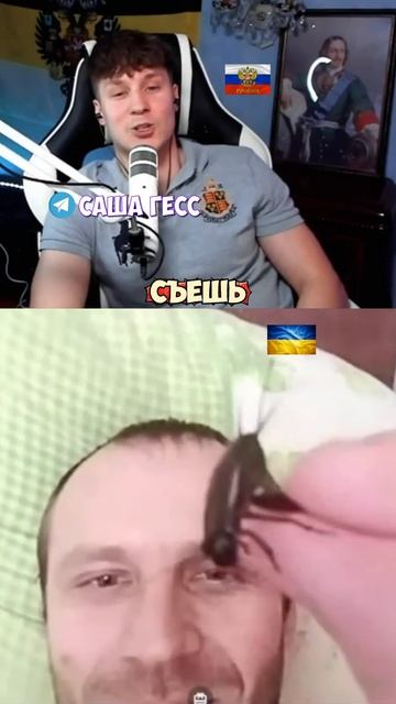 СЪЕЛ СВЕРЧКА смотреть онлайн