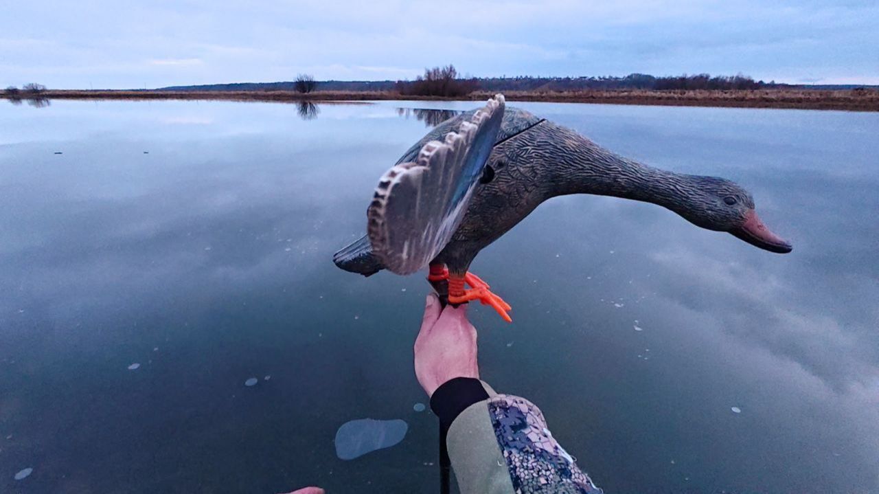 Охота на Утку с Подхода и на Вечёрке. Закрываю Сезон. смотреть онлайн