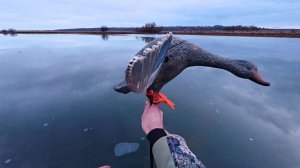 Охота на Утку с Подхода и на Вечёрке. Закрываю Сезон.