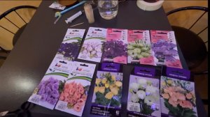 Посадили эустомы/Сезон 2026 начинается