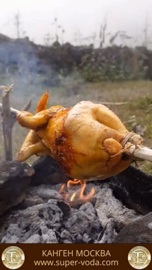КУРИЦА ГРИЛЬ НА КОСТРЕ 🐔😋 🔥 #еда #вкусно #кухня #курица #мясо #овощи #природа #приготовление #лес