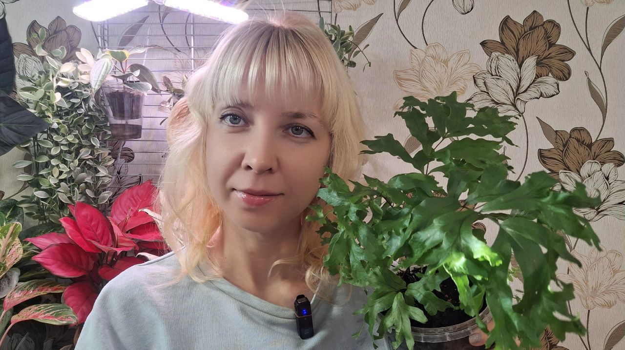 Новые жильцы в моей цветочной комнате смотреть онлайн