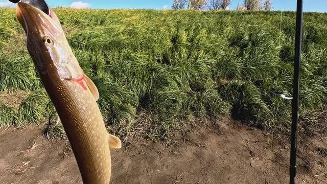 Рыбалка на спиннинг смотреть онлайн