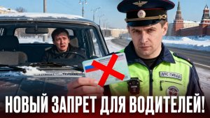 НОВЫЕ ЗАКОНЫ НОЯБРЯ 2025! Банки блокируют карты, новые запреты для водителей, цифровой контроль