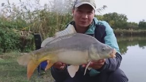 Тут рыба ловится хорошо, есть и бонусы караси и карп клюёт