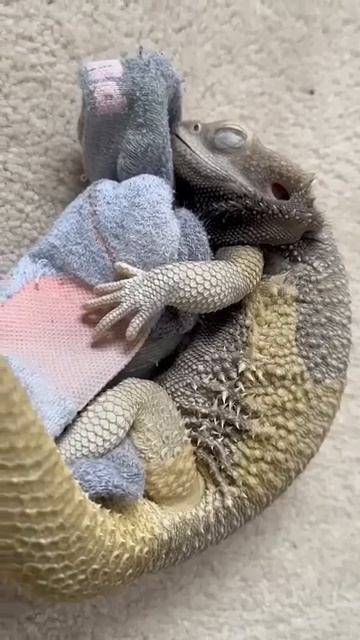 Любовь смотреть онлайн