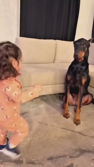 Собачки любят детей.