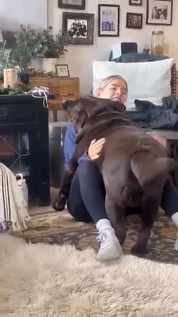 Люди с большими собаками смотреть онлайн