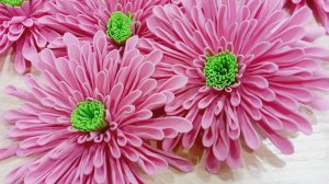 Очень красивая розовая хризантема из фоамирана. Мастер-класс по созданию цветов