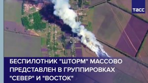 ТАСС: беспилотник "Шторм" массово представлен в группировках "Север" и "Восток"