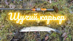| Рыбалка на карьере | Голодные щуки не дают спокойно ловить |