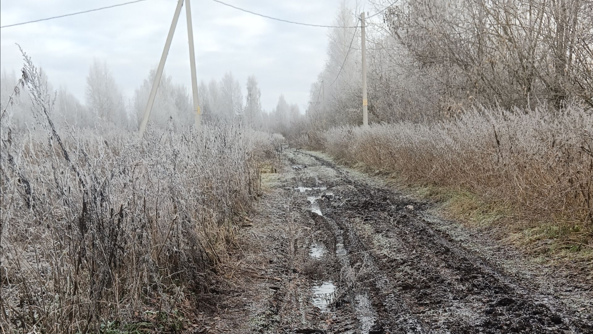 Добрый день всем. А у нас подмерзло... .... смотреть онлайн