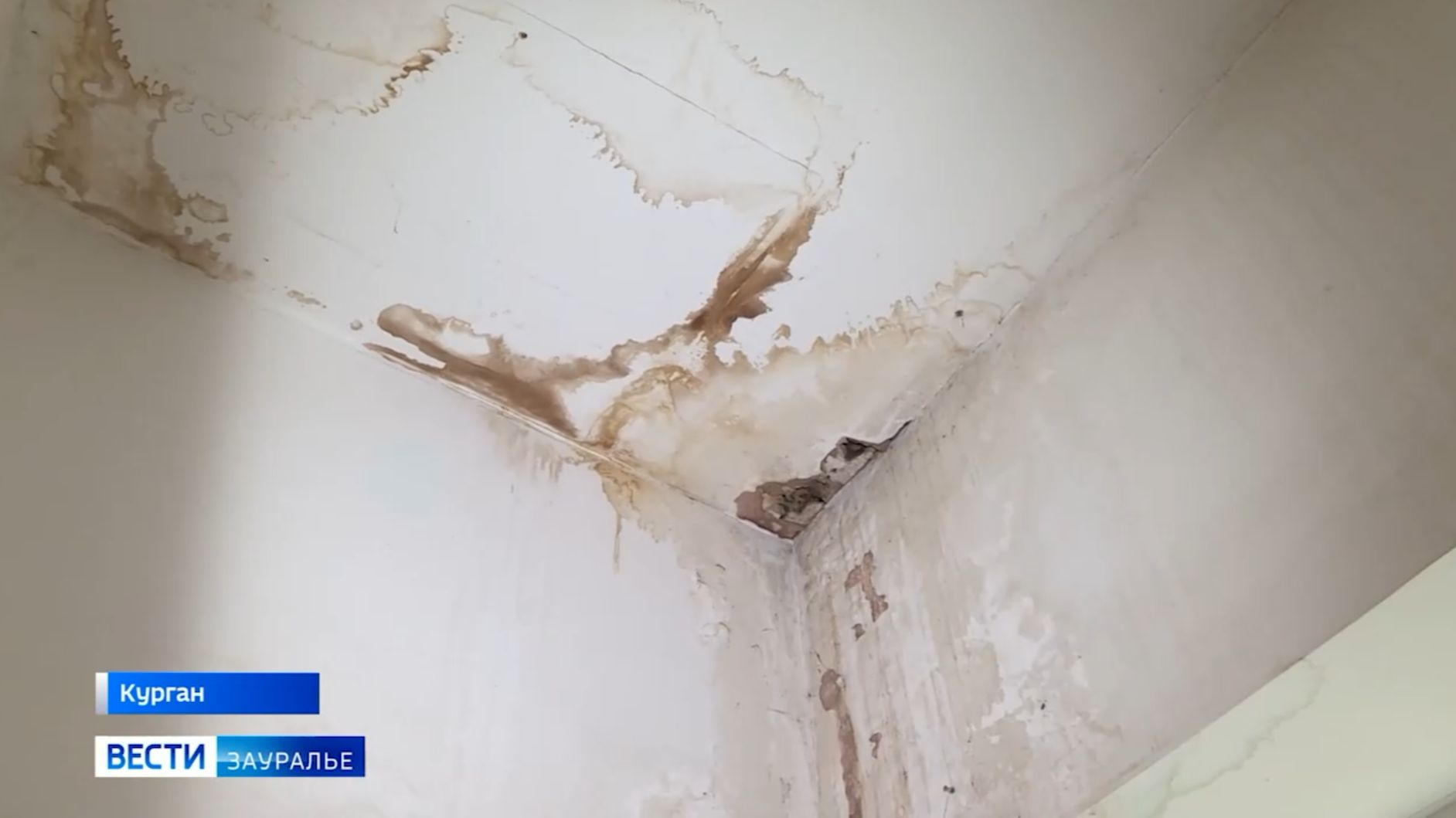 Течёт крыша, под полом канализационные воды, электричество работает с перебоями смотреть онлайн