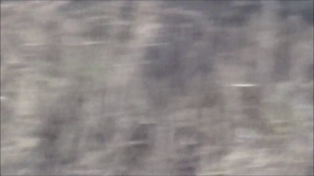 Осеняя прогулка.