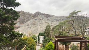 256. Сколько стоит обучение Джонатана, Оливер об университете, Томас готовит, а я натворила дел...