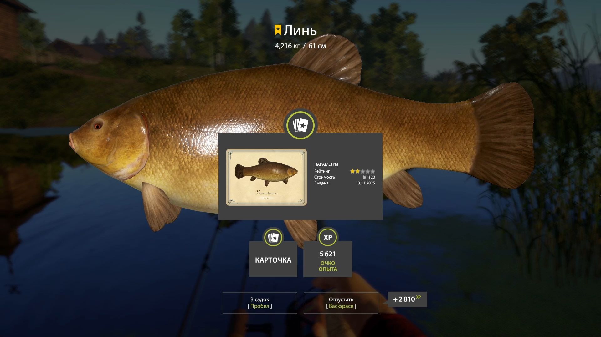 Русская Рыбалка 4 Трофей (Линь) оз. Старый Острог смотреть онлайн