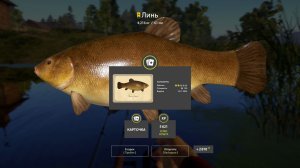 Русская Рыбалка 4 Трофей (Линь) оз. Старый Острог