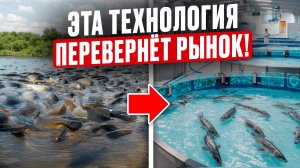 Через 10 лет рыбу в России будут выращивать только ТАК! Как заработать на ЭТОМ в рыбоводстве?