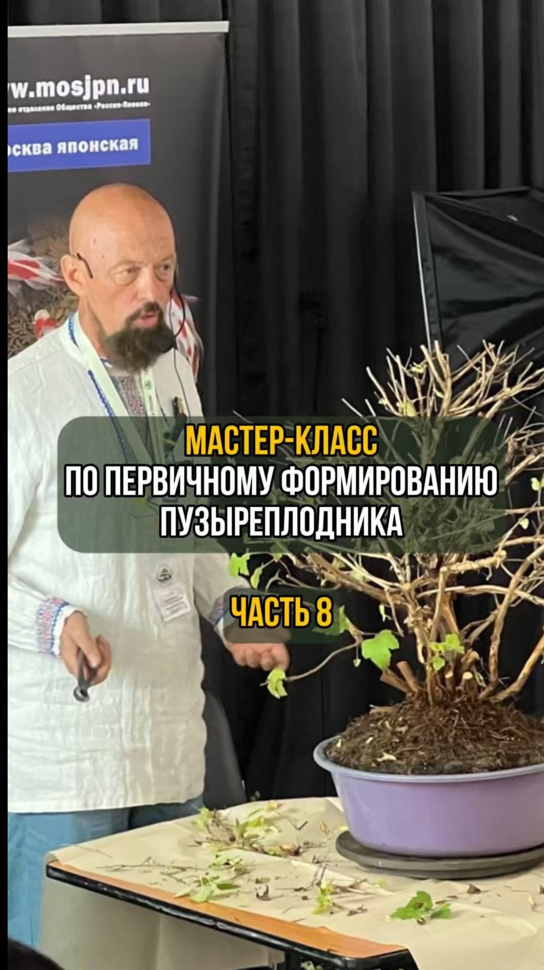 Мастер-класс по первичному формированию пузыреплодника. Часть 8 смотреть онлайн