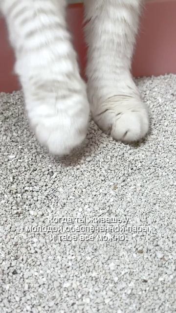 Когда целуют в попу и низачто не ругают смотреть онлайн