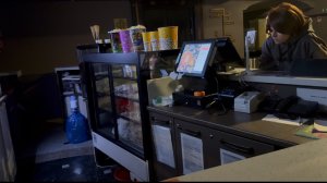 Если все кошки в мире исчезнут