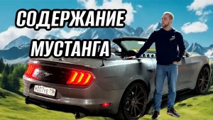 СОДЕРЖАНИЕ МУСТАНГА