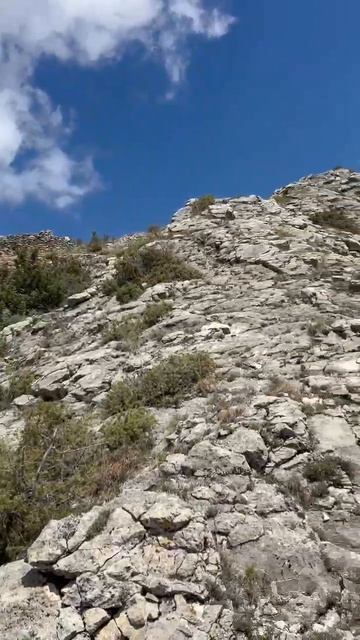 2025_05_07_12_46_IMG_0802 смотреть онлайн