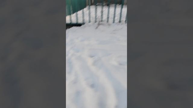 the backrooms level 7