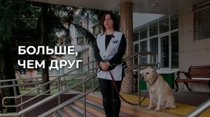Больше, чем друг