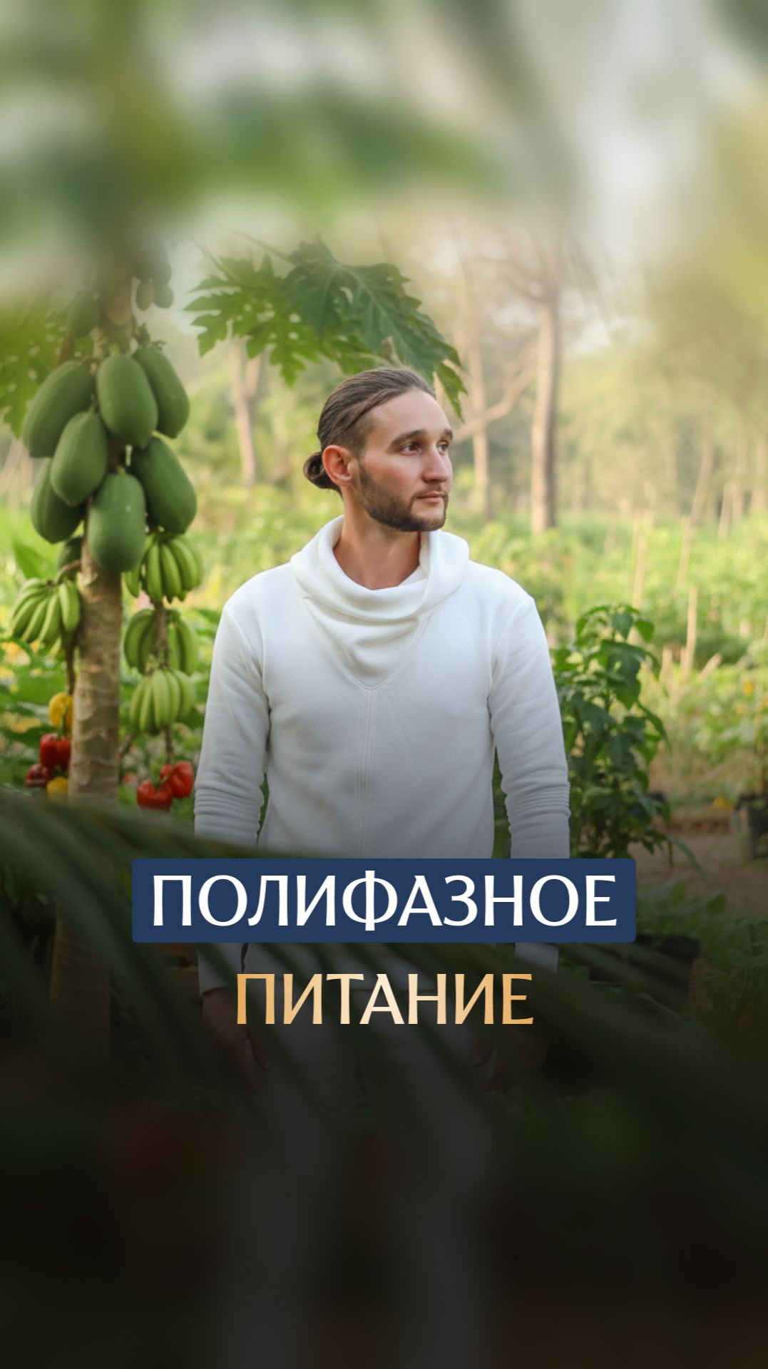 Полифазное питание смотреть онлайн