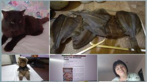 Покупная другая на запах.Поработать,почитать,побалдеть