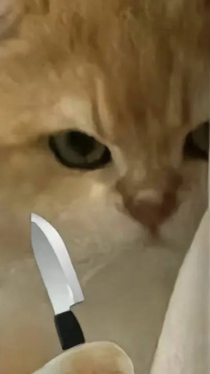 Тонкий момент💋 смотреть онлайн