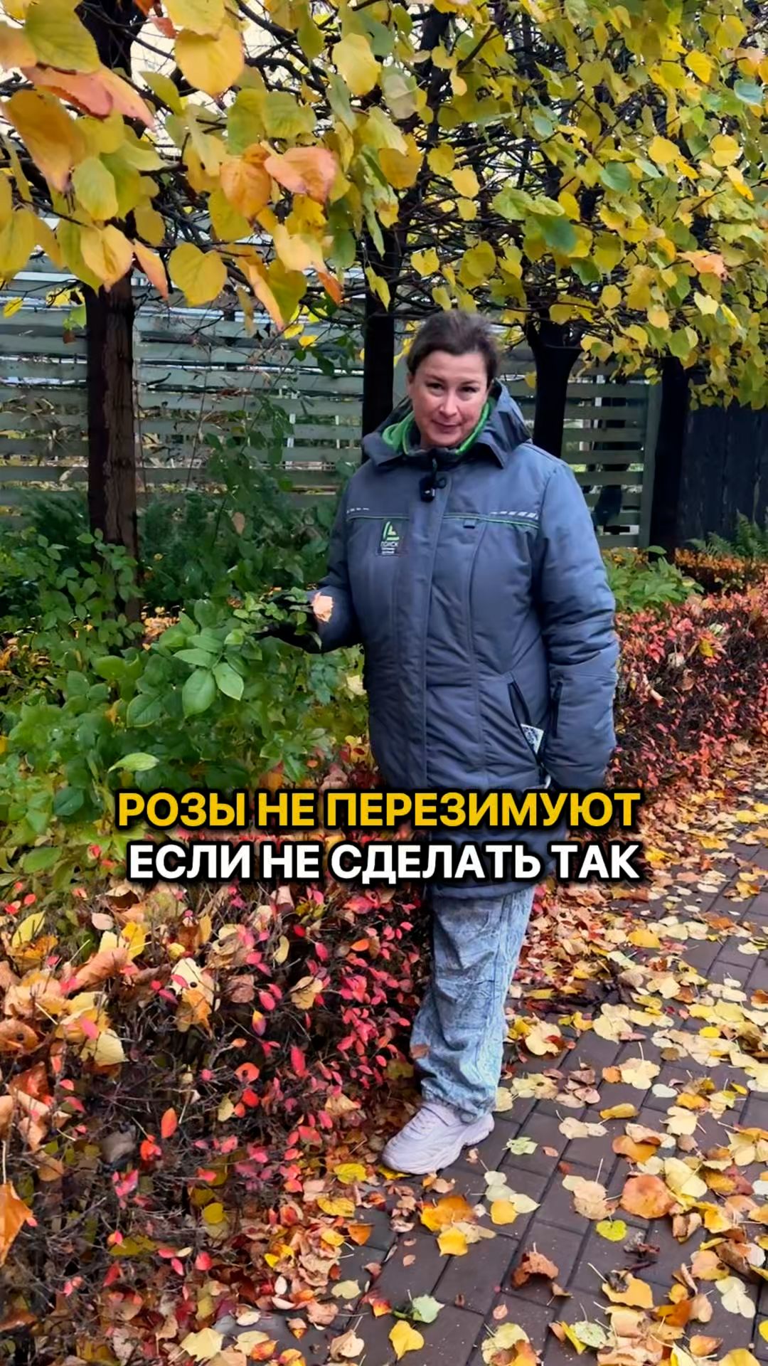 Сделайте ЭТО, чтобы розы перезимовали!