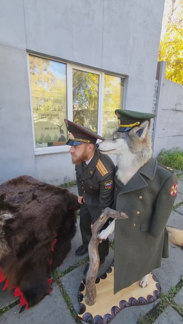 🎥 Генерал волк проводит проверку | «Берлога 38»