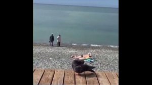 Кто-то загорает в купальнике, кто-то вышел к морю в куртке