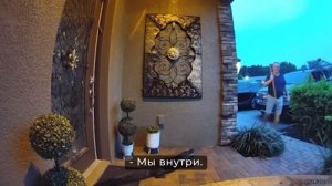 Случаи Вторжения Диких Животных в Города, Снятые на Камеру