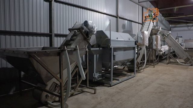 Ирина Бизяева, склад