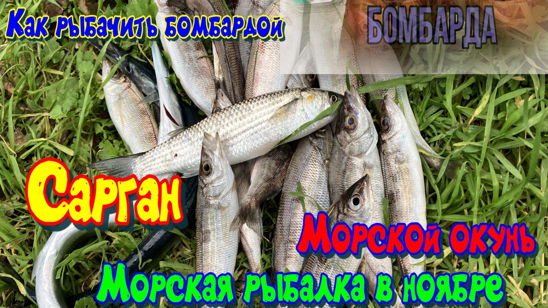 Как рыбачить снастью бомбарда смотреть онлайн