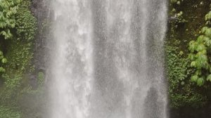 РЕГЕНЕРАЦИЯ Альфа-волны частотой 432 Гц Восстановления ДНК Снижение стресса