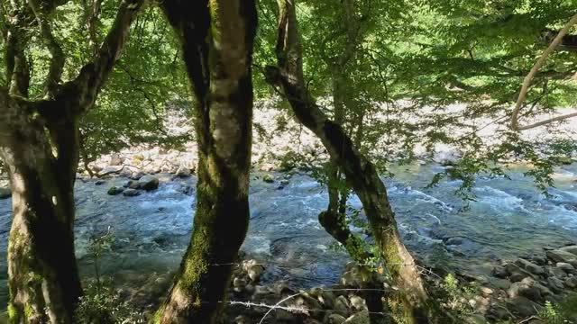 Абхазия база отдыха смотреть онлайн