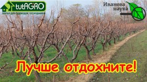 ПУСТЫЕ ХЛОПОТЫ: лучше отдохните. Эти работы в ноябре не принесут пользы.