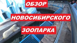 Обзор Новосибирского зоопарка .